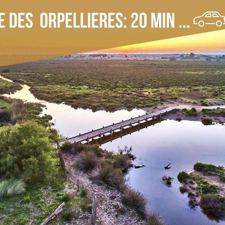 Centre Historique - Free Parking - Self Checkin - Wifi - Industriel - Sleepntripbeziers Apartment Exterior photo