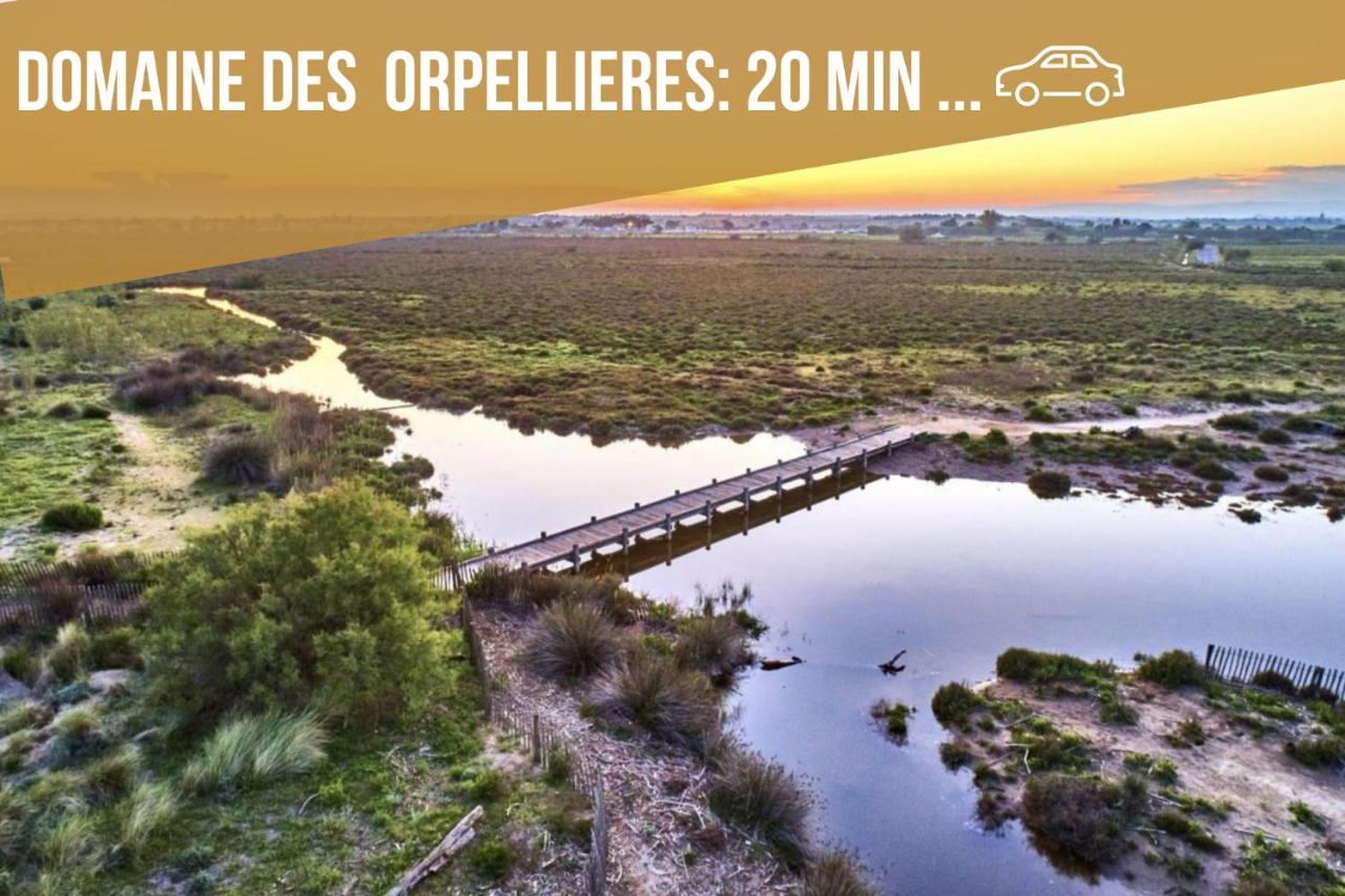 Centre Historique - Free Parking - Self Checkin - Wifi - Industriel - Sleepntripbeziers Apartment Exterior photo